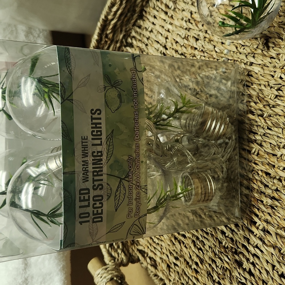 String Lights with Greenery Bulbs - Picture 6 of 7